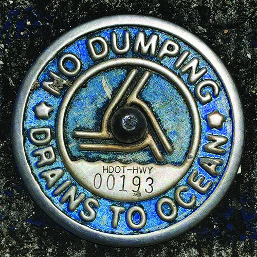 Figure 4.6 A warning in Honolulu regarding the damage done by ocean dumping. (credit: “No Dumping - Drains to Ocean” by Daniel Ramirez/Wikimedia Commons, CC BY 2.0)