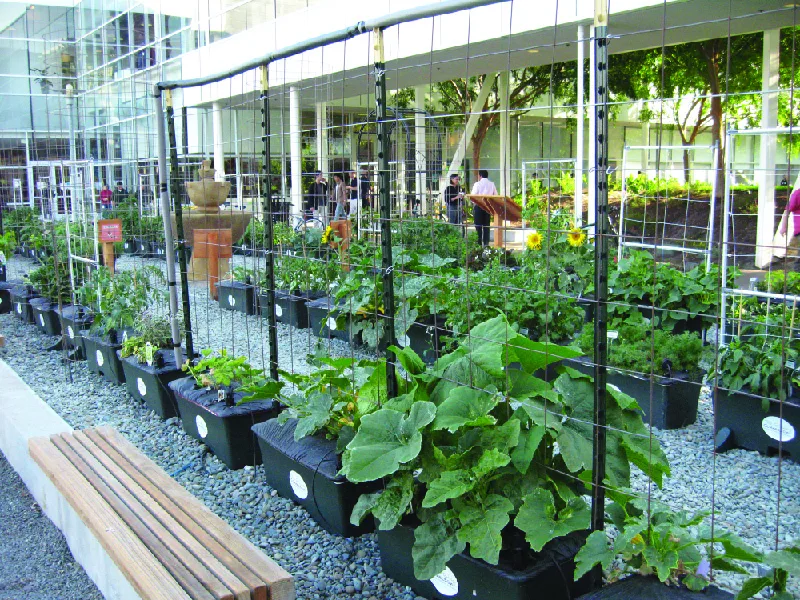 Figure 10.5 This herb garden at the Googleplex, Google’s headquarters, is an outdoor area where workers can sit and contemplate nature. The garden is part of a farm-to-table program to teach Googlers about how their food is grown. (credit: “Googleplex” by Pamela Carls/Flickr, CC BY 2.0)