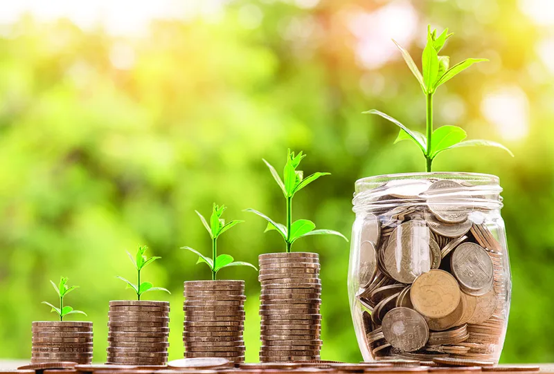 Figure 4.7 Sustainability can create long-term cost savings for companies. (credit: work by Nattanan Kanchanaprat/Pixabay, CC0)