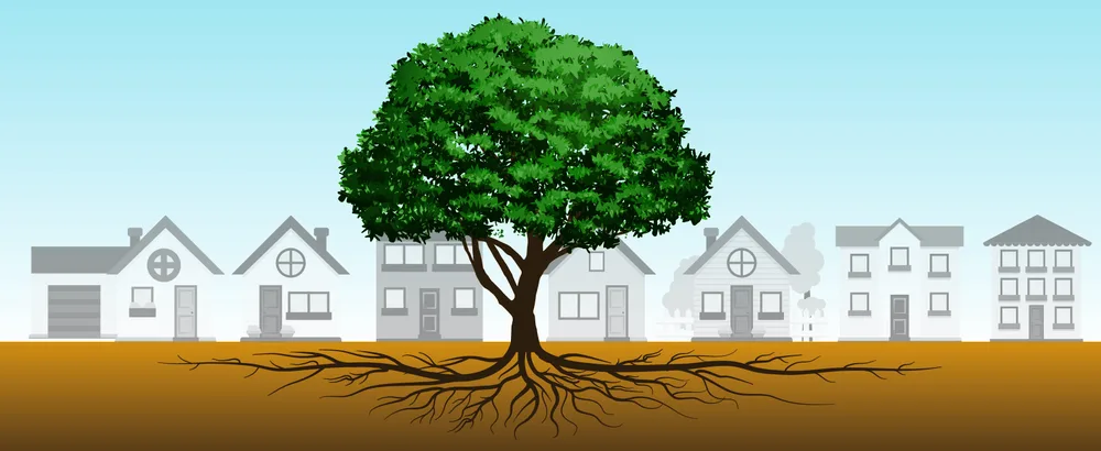 Figure 4.1 The Japanese concept of nemawashi broadly means “laying the groundwork” or “building strong roots.” In a business ethics context, nemawashi means building a strong foundation for an action or project by reaching out to all stakeholders and seeking their input, demonstrating how much the organization values their opinion as it builds support from the ground up. (attribution: Copyright Rice University, OpenStax, under CC BY NC-SA 4.0 license)